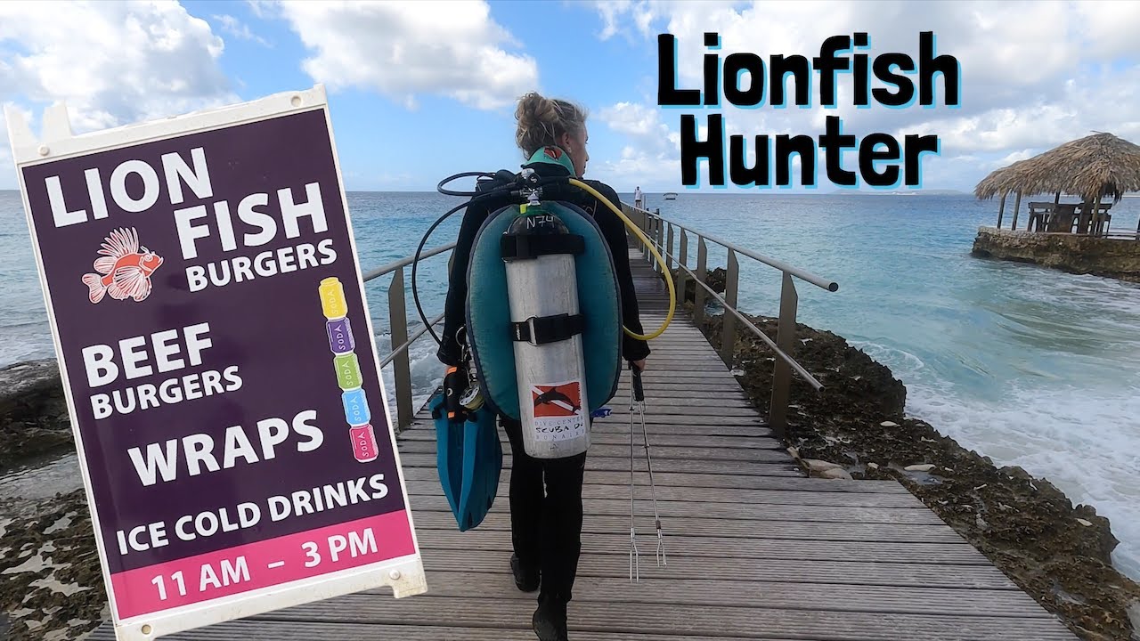 Lionfish hunting at Bonaire in the Dutch Caribbean