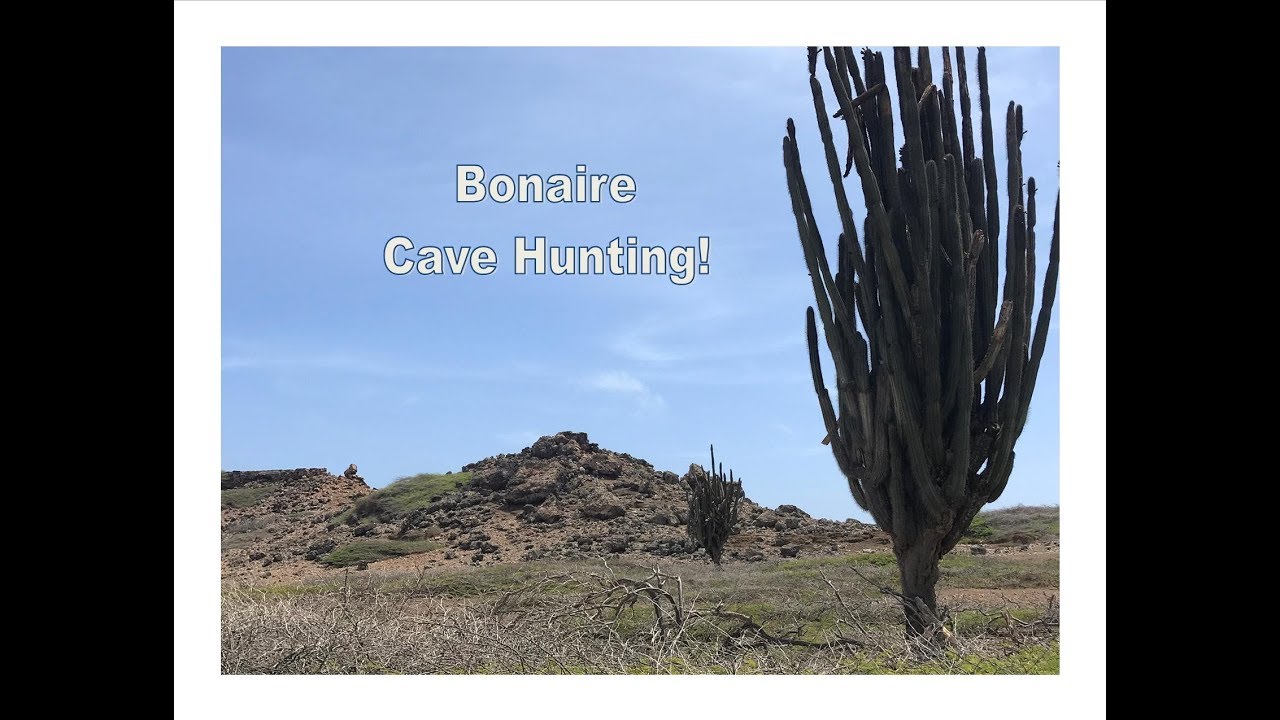 Explore UNDER Bonaire!  [Unique Caves of Bonaire]