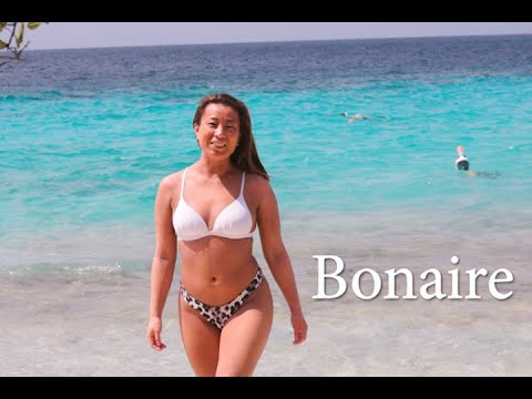 Discover the Treasures of Bonaire: Underwater Adventures, Windsurfing, and Family Fun (Part 1)