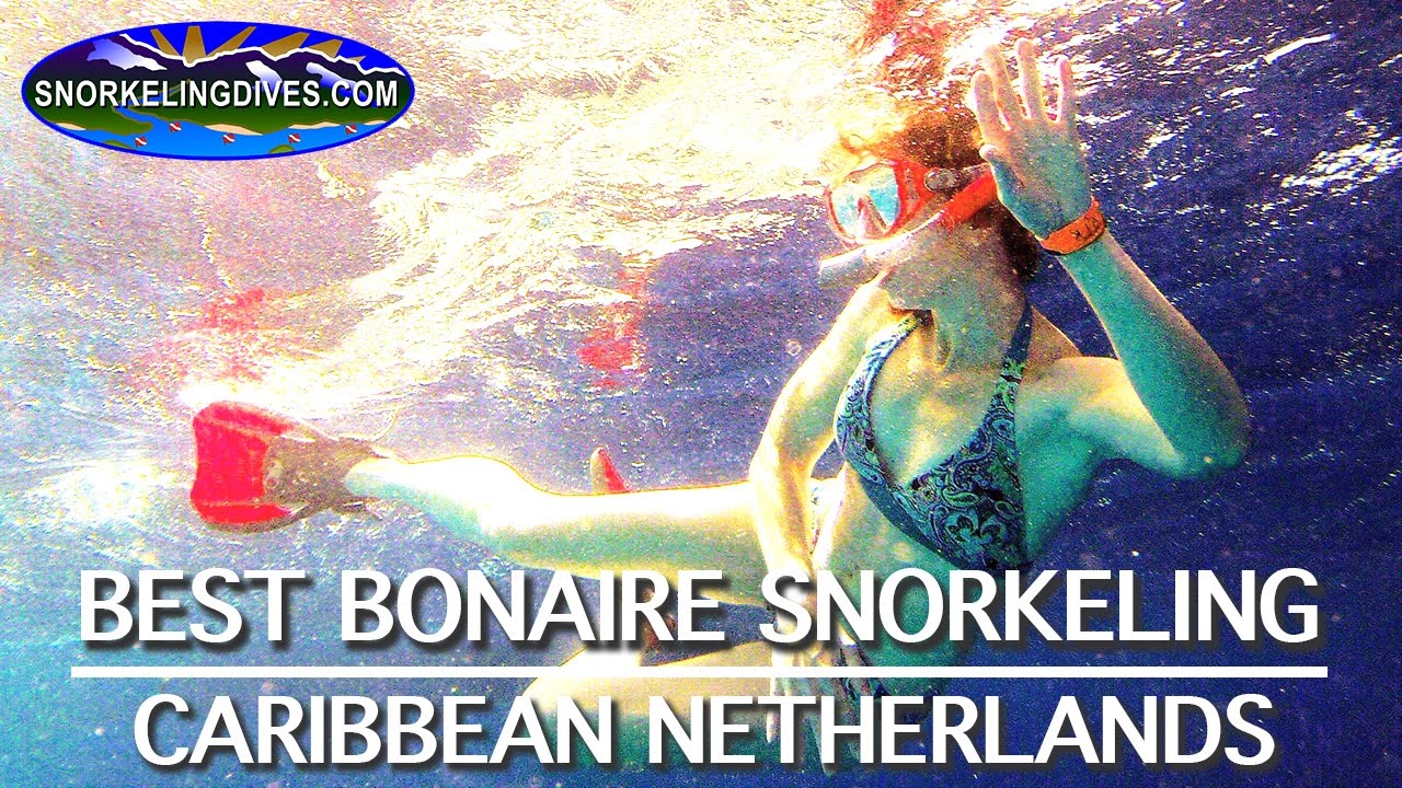 Best Bonaire Snorkeling