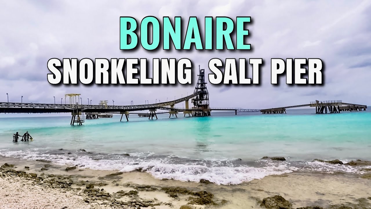 Snorkeling BONAIRE Salt Pier