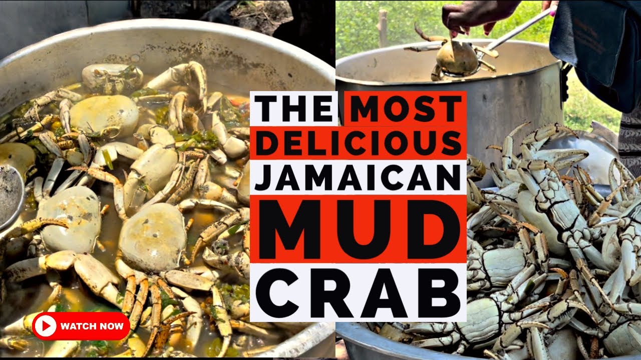 Jamaican Cuisine: cooking Mud CRAB like a Pro | @jamaica_uncut