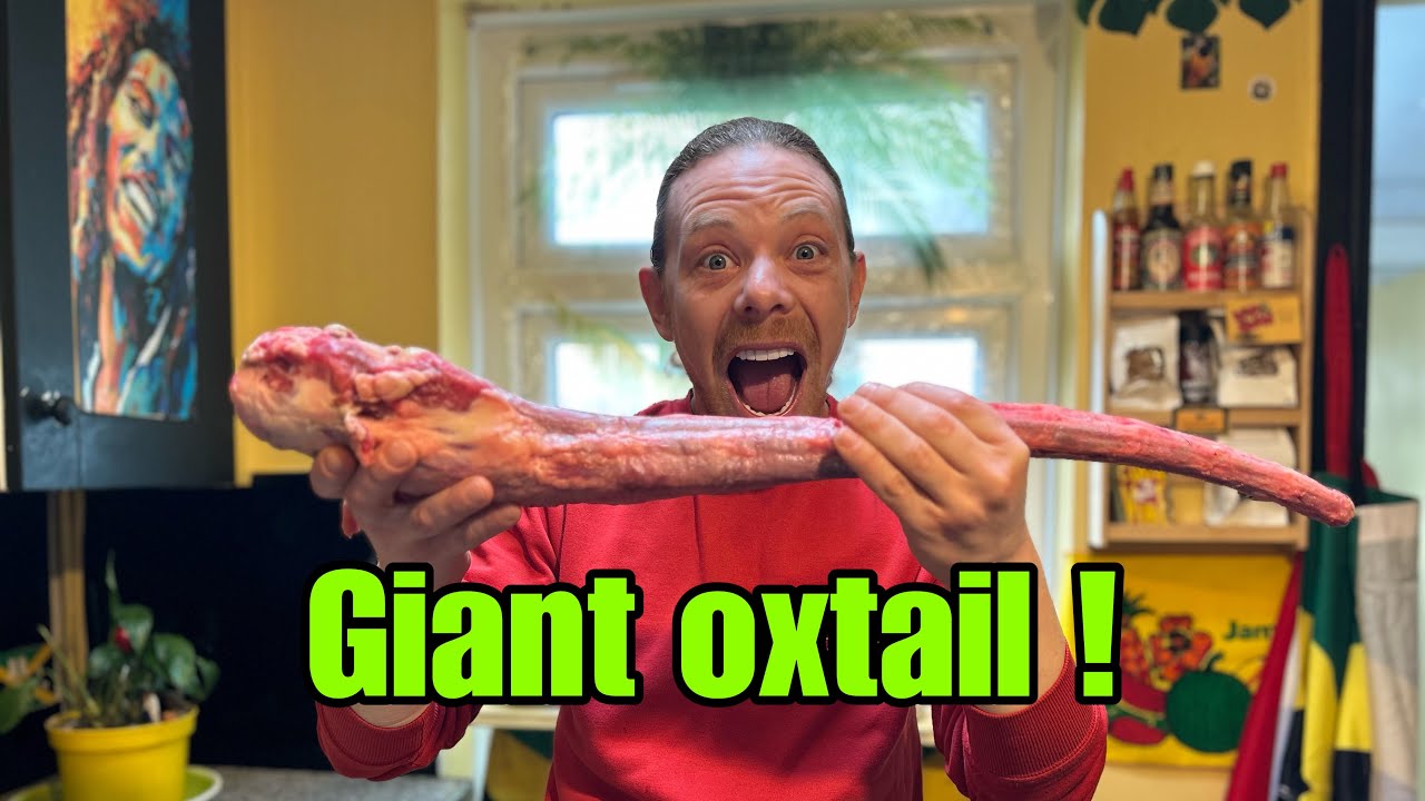 GIANT OXTAIL ! AUTHENTIC JAMAICAN RECIPE !