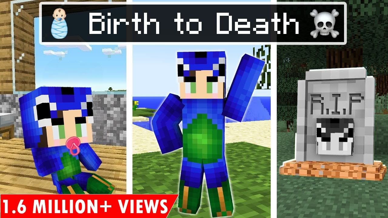 Ayush’s BIRTH to DEATH In Minecraft 😱 (Hindi)