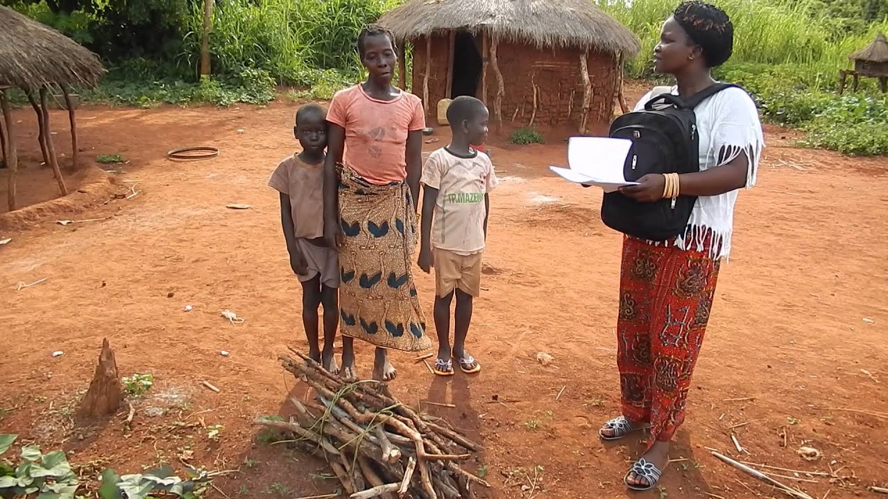 Central African Republic / Firewood collection