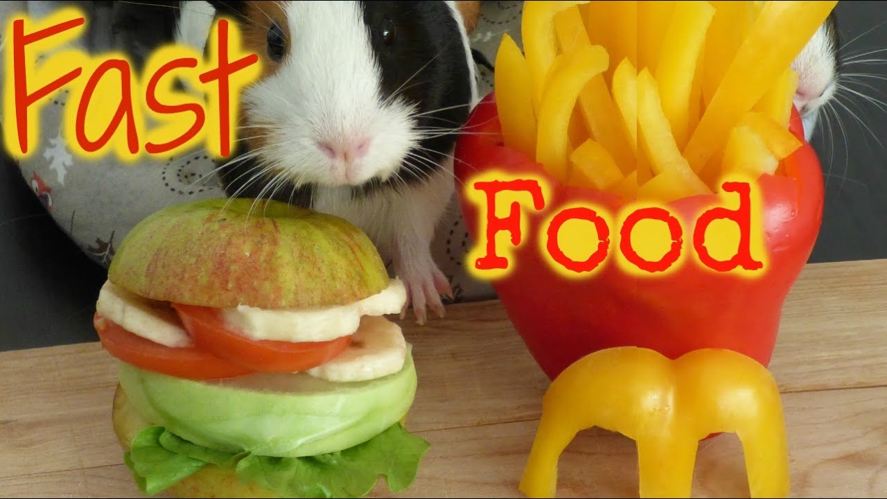 Fast Food For Guinea Pigs | How to