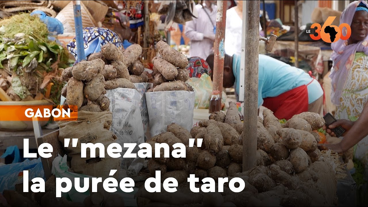 Gabon: à la découverte du “mezana”, la purée de taro venue de la province du Ogooué-Ivindo