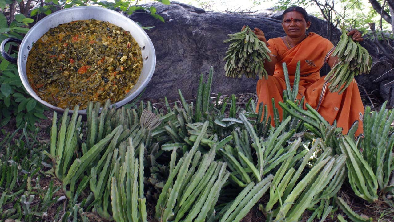 Caralluma fimbriata recipe |  Kullee Mooliyan | ragi koozh | Village Food | Side dish recipes