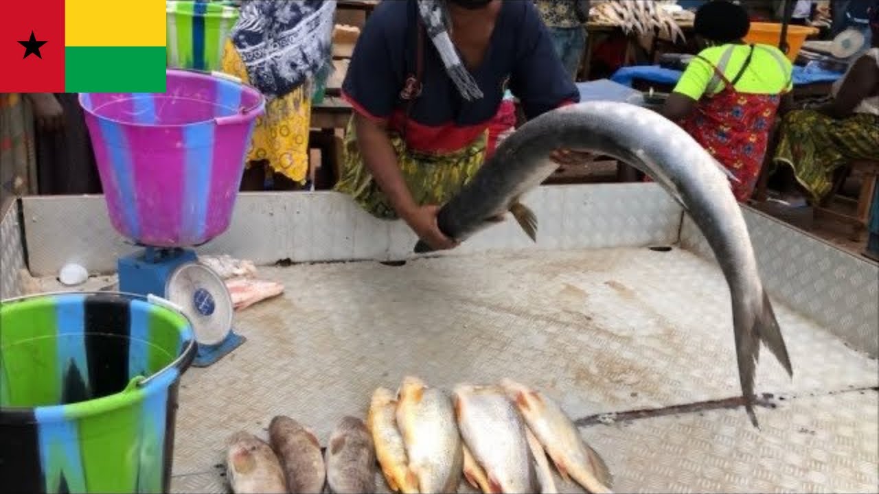 Bissau Fish Mark