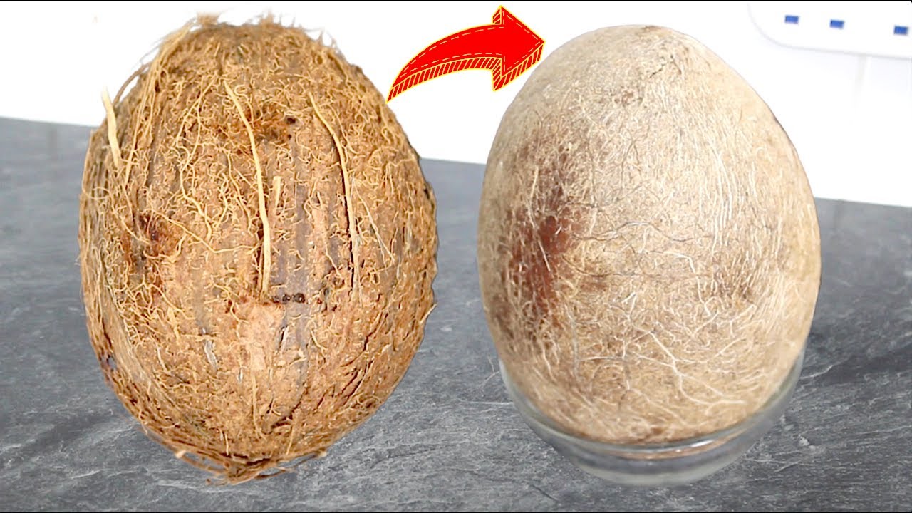 How to remove COCONUT Shell from COCONUT | How to BREAK COCONUT SHELL WITHOUT BREAKING THE COCONUT