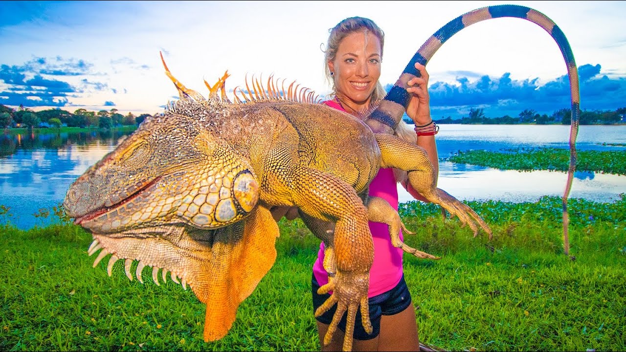 Massive IGUANA Hunting in my Backyard! Catch Clean Cook! *WORLD RECORD!*