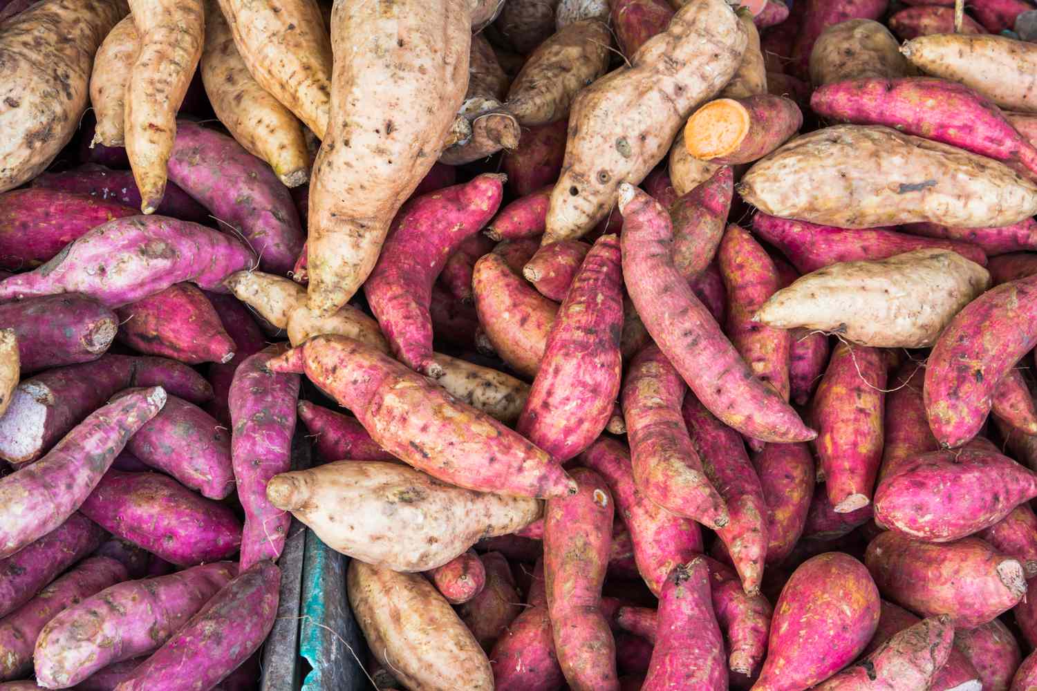 The Confusion of Yams vs Sweet Potatoes Comes from Slave Trade